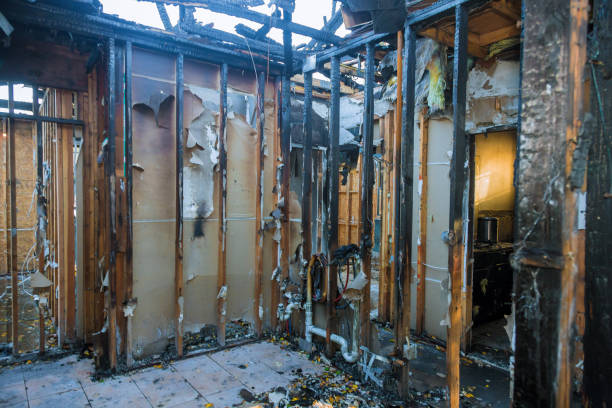 Professional Fire Damage Assessment technician working in Upper Black Eddy, PA